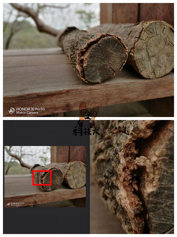 荣耀热门五款机型拍照对比：分别是Play4T/X10/30S/30/30Pro