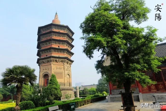 安阳:3千年前的“天选之地”,该如何变流量为力量