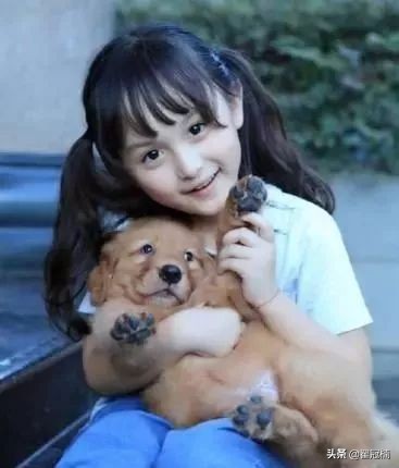 铲屎官必读:狗狗害怕剪趾甲,怎么办?