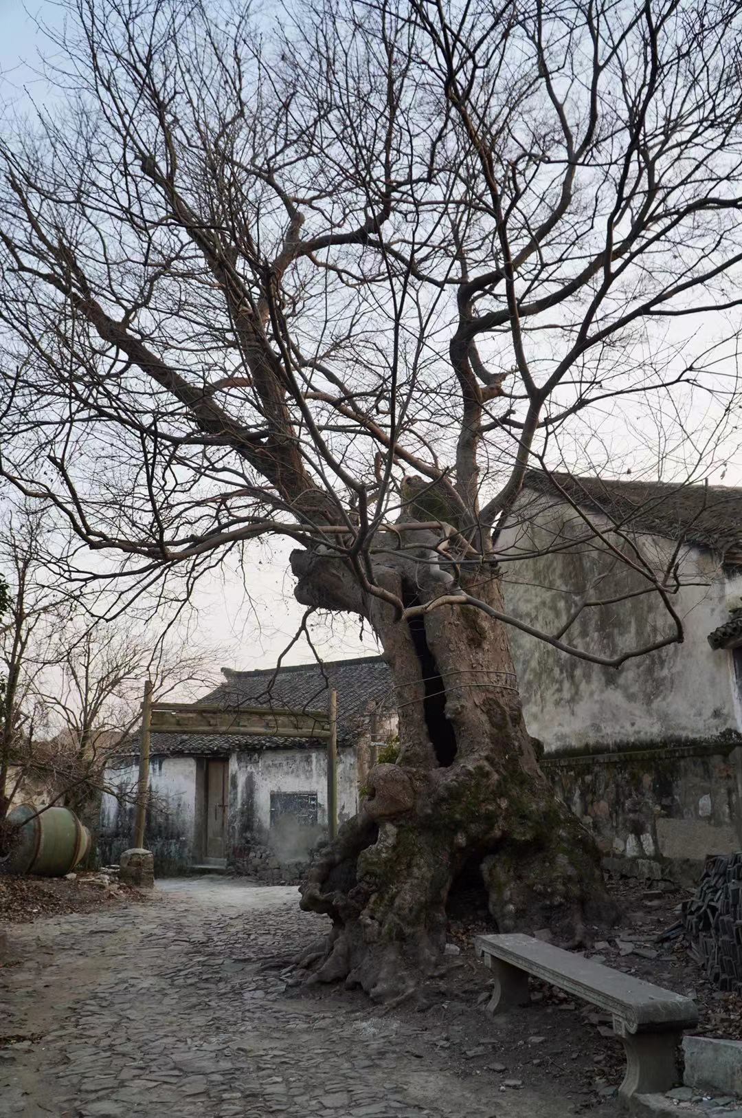 江苏神秘小岛,江苏省内的世外桃源