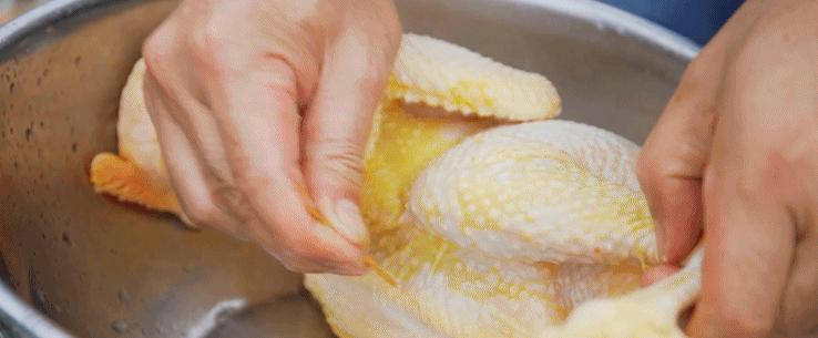 超有鸡味的阳山鸡,广东阳山鸡口感如何