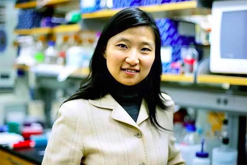 中科大少年班第一批的天才少年,天才少年中科大少年班