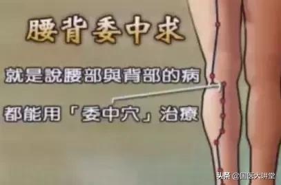 人体穴位图打通全身经络只需一穴,胃经经络穴位图口诀