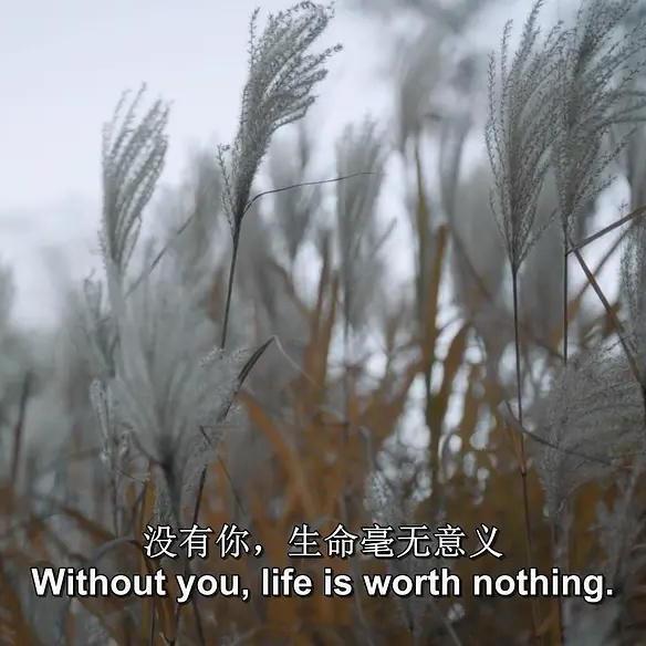 心理学怎样快速和陌生人拉近关系,心理学相处的技巧