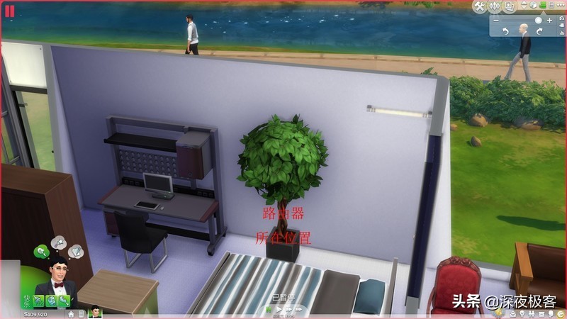 分享我的改造经历,分享我多年来的养猫经验