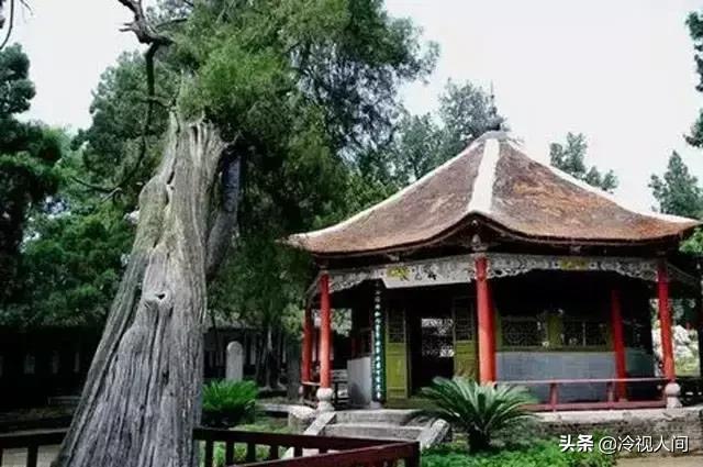 南阳怎样?看完你也会说“中!中!中!”