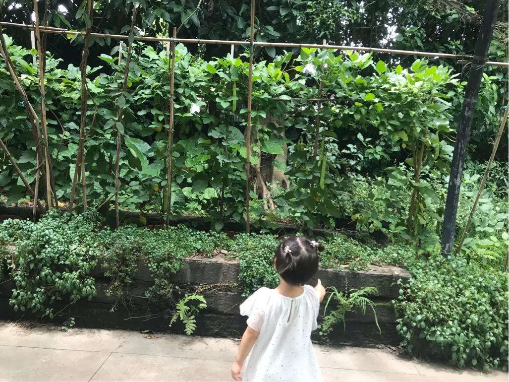 长隆飞鸟乐园拍鸟攻略,广州长隆飞鸟乐园可以摸哪些鸟