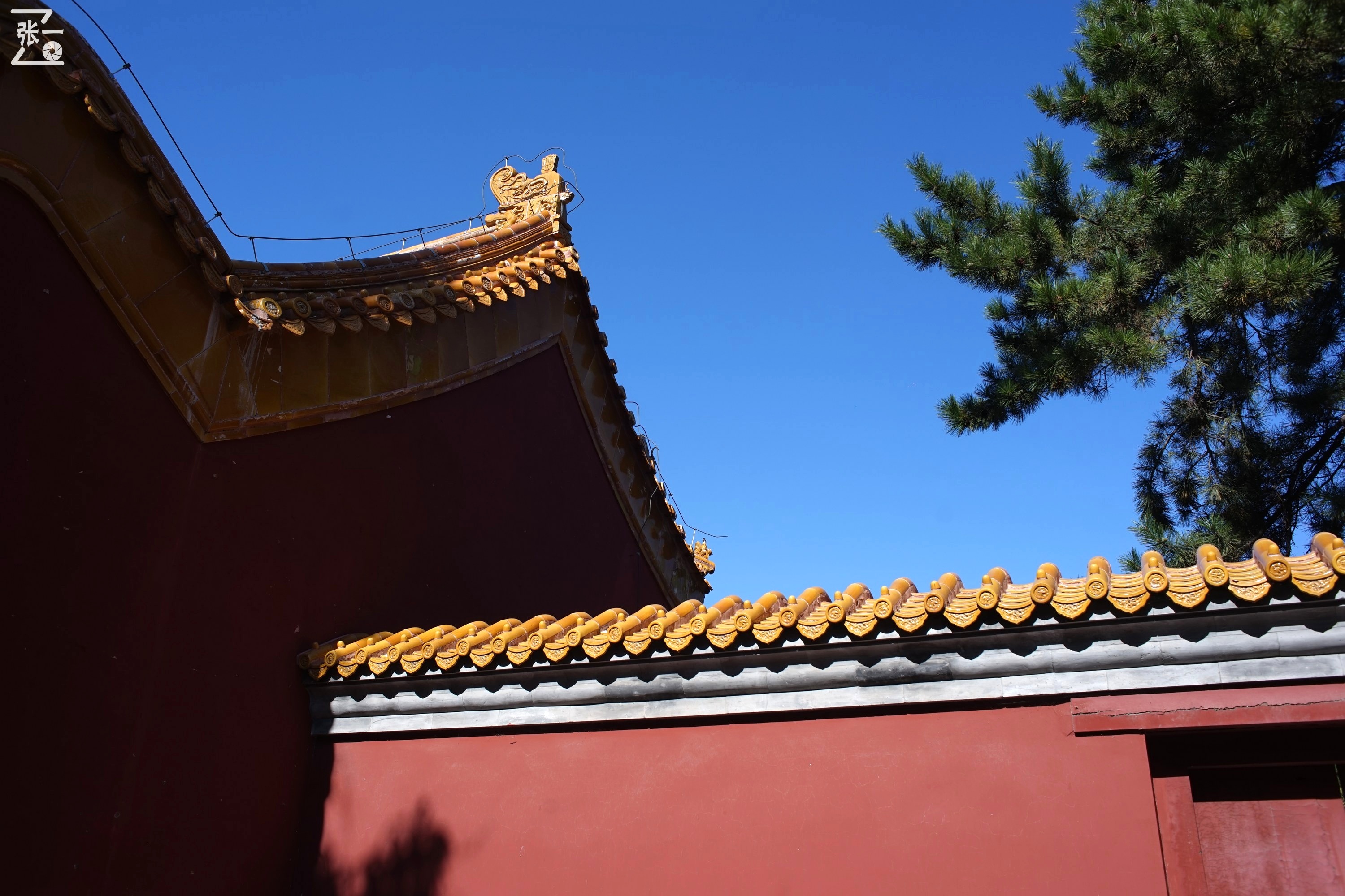 镜头测试：蔡司红T28/2.8+索尼微单A7实拍北京景山公园