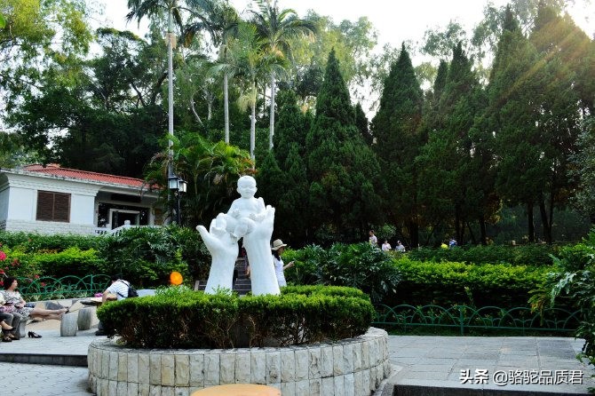 厦门海边之旅,厦门小众旅游体验