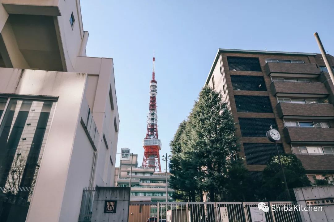 表参道和代官山的距离,表参道代官山店几点开门