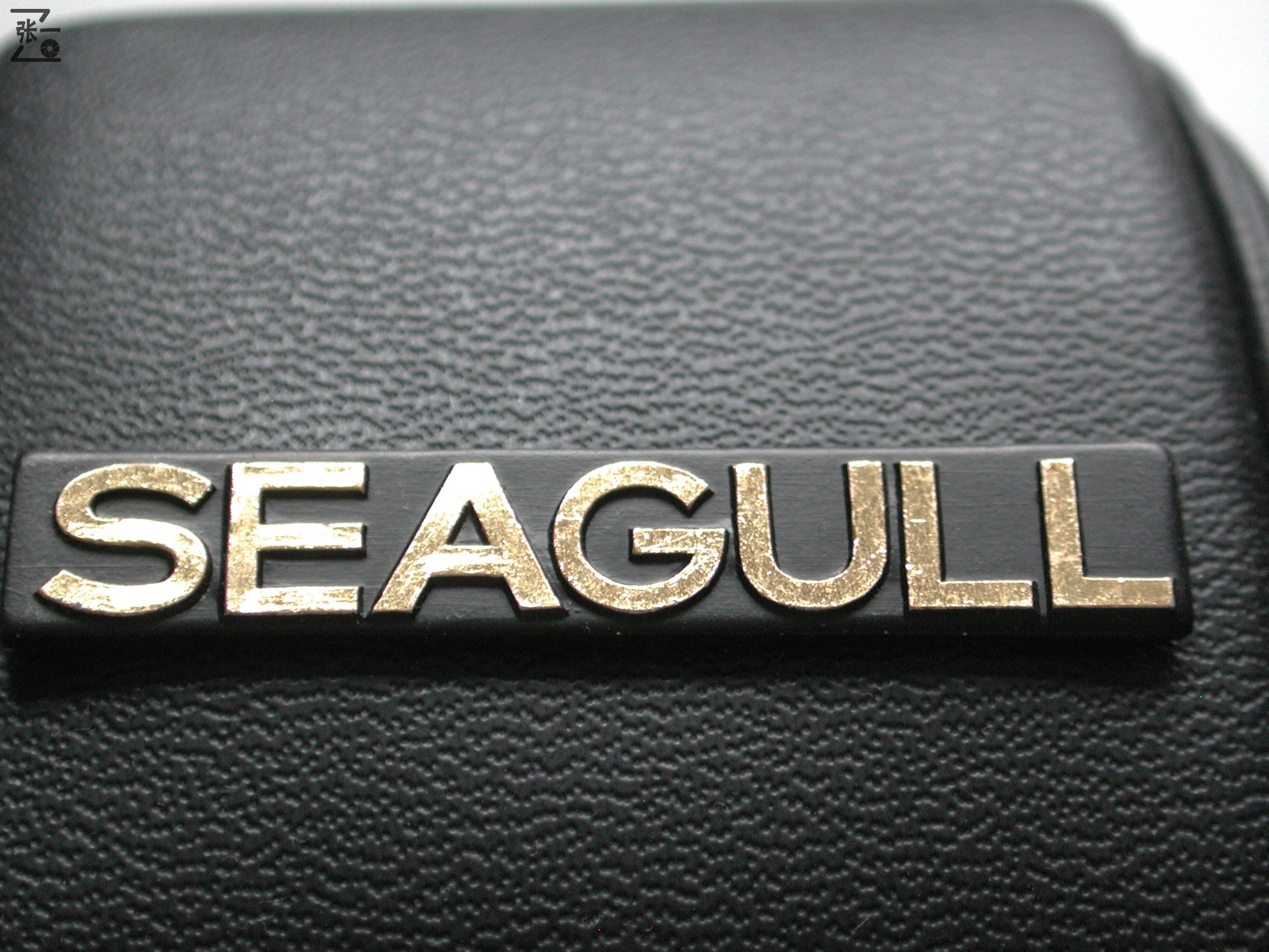 海鸥df-1000相机,海鸥df照相机