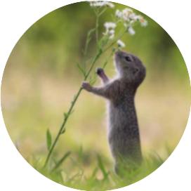 行测言语理解成语高频词汇大全,行测言语理解必背100个易错成语