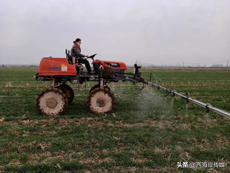 农资配送上门春耕,农资配送春耕无忧