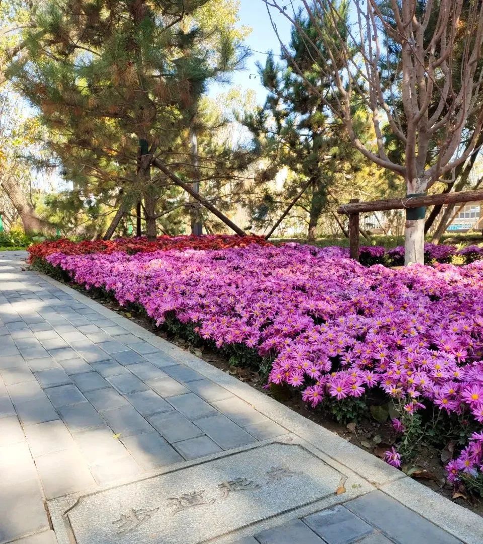 天坛公园周边,天坛旁边的公园