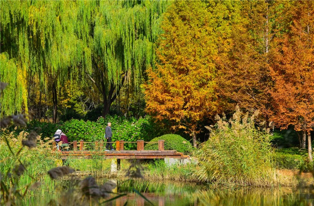 夏日好去处济南森林公园,济南森林公园雪景