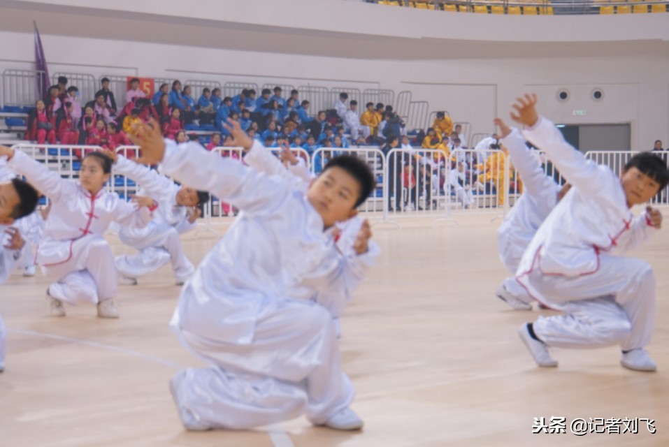 亳州二中五禽戏比赛2018级,亳州五禽戏交流赛