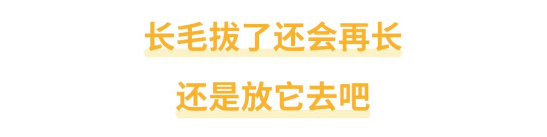 身上长一根白毛有福吗,身上长长寿毛意味着什么