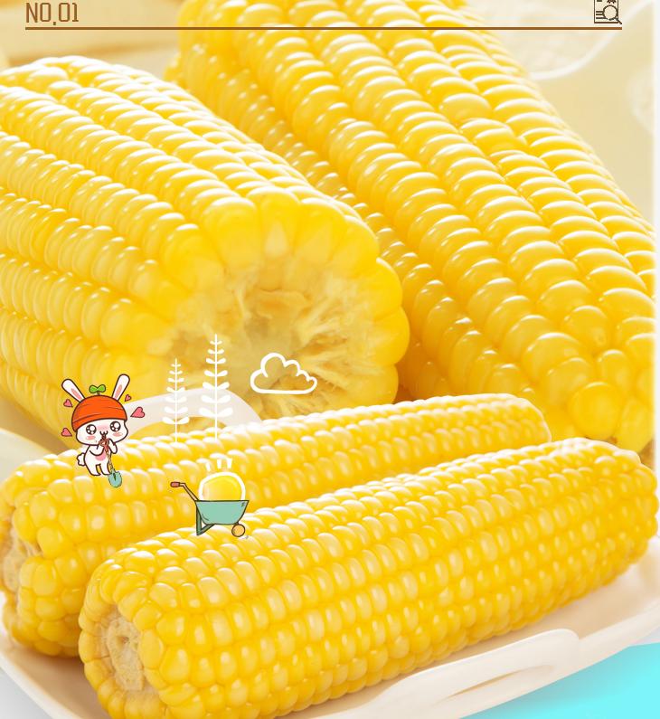 新鲜东北玉米10棒甜糯真空包装黏玉米粒即食粘苞米现摘鲜玉米棒