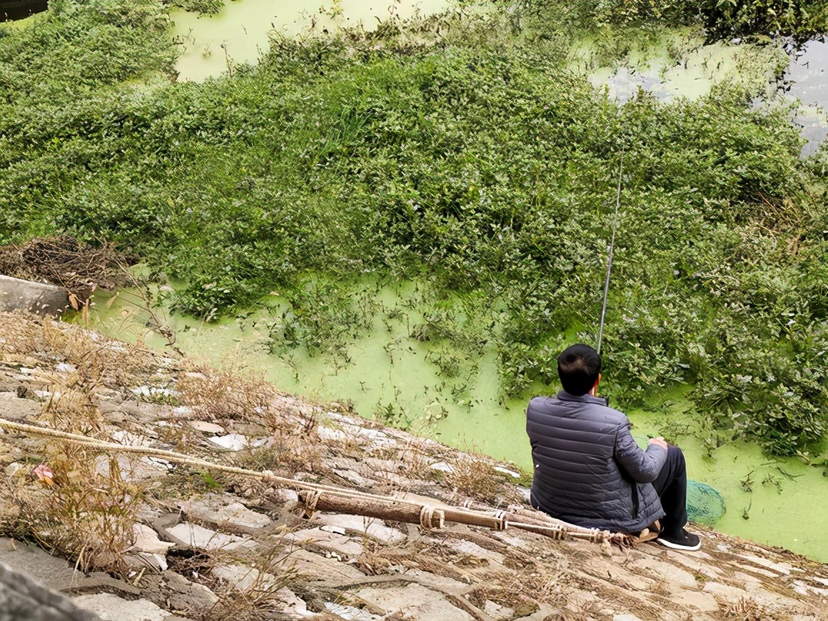 钓鱼多年以后,钓鱼几年的感悟