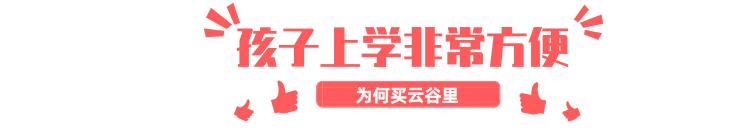 1对1咨询服务,1对1专属服务