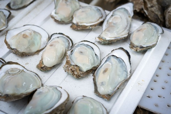 广州南沙最美风景区,南沙湾区超美风景线