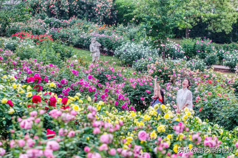 值得参观的国内优秀花园之品鉴（上篇）