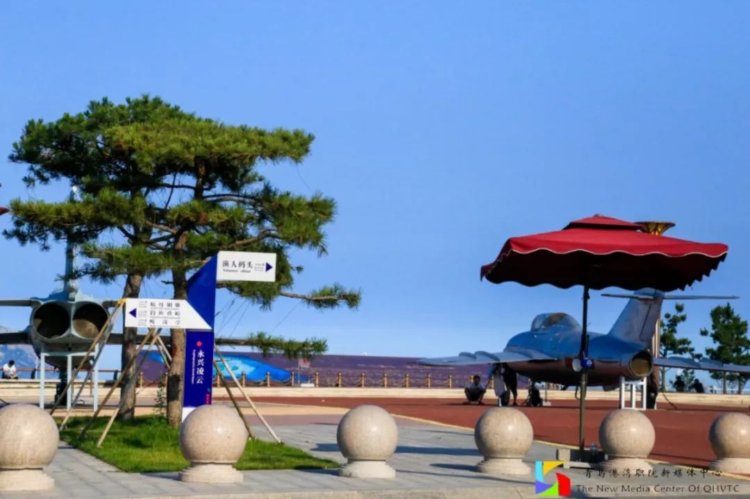 选择青岛港湾的理由,山东职业学院与青岛港湾职业学院