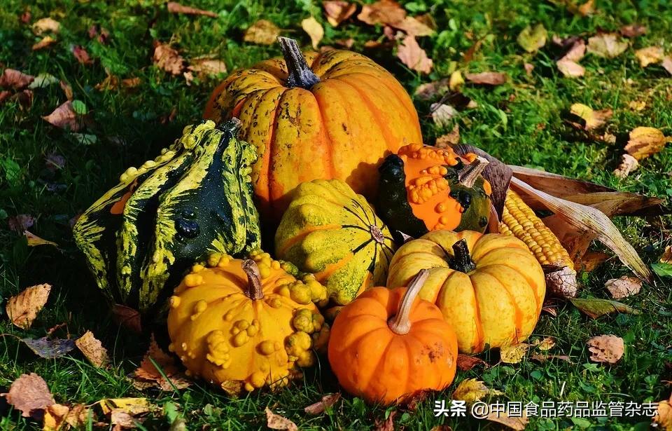 科普|苦瓜、西兰花、萝卜能降血糖？真的存在降糖食物吗？