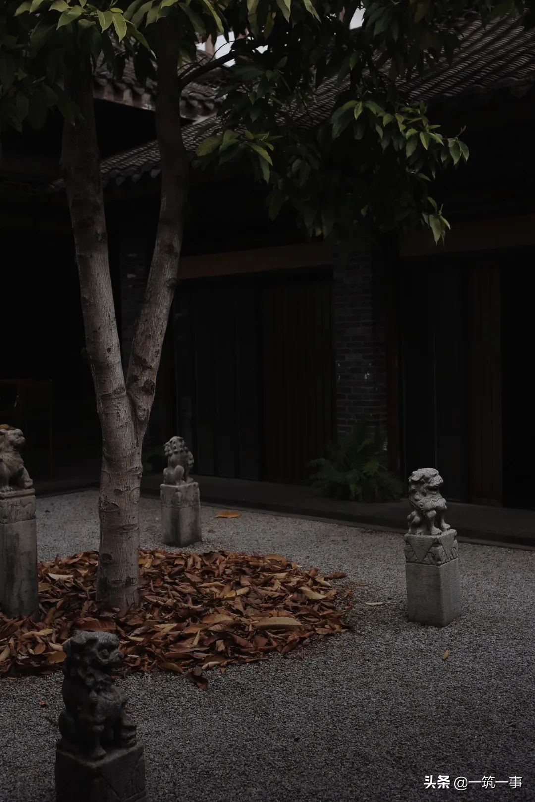 成都最顶级的酒吧,成都酒吧好约吗