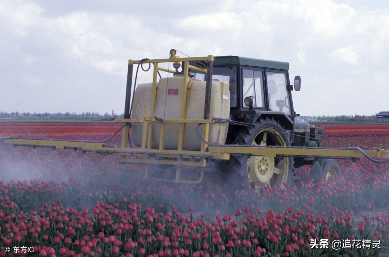 蜜蜂是大自然的馈赠,蜂蜜是大自然的产物