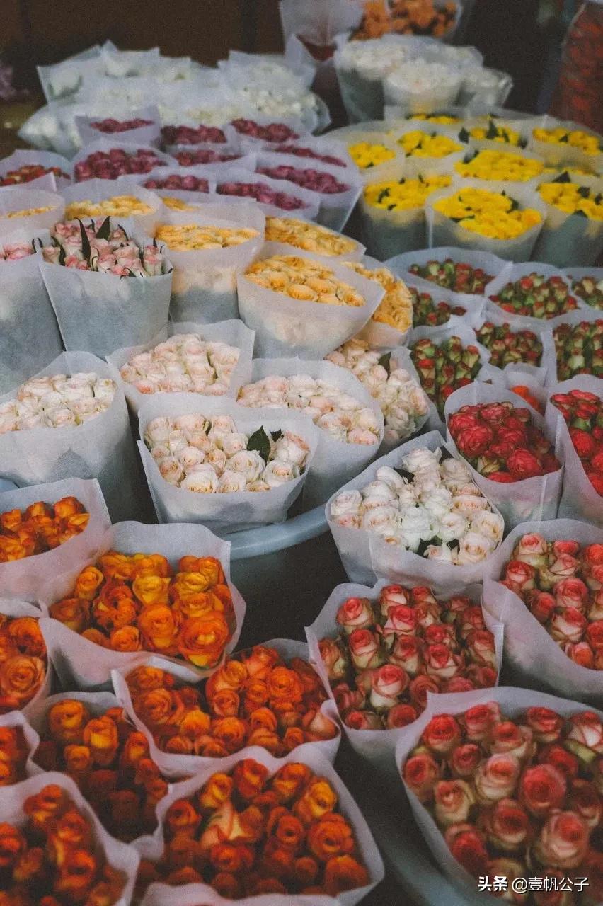 被大理的美景所折服,被丽江的风景美到了