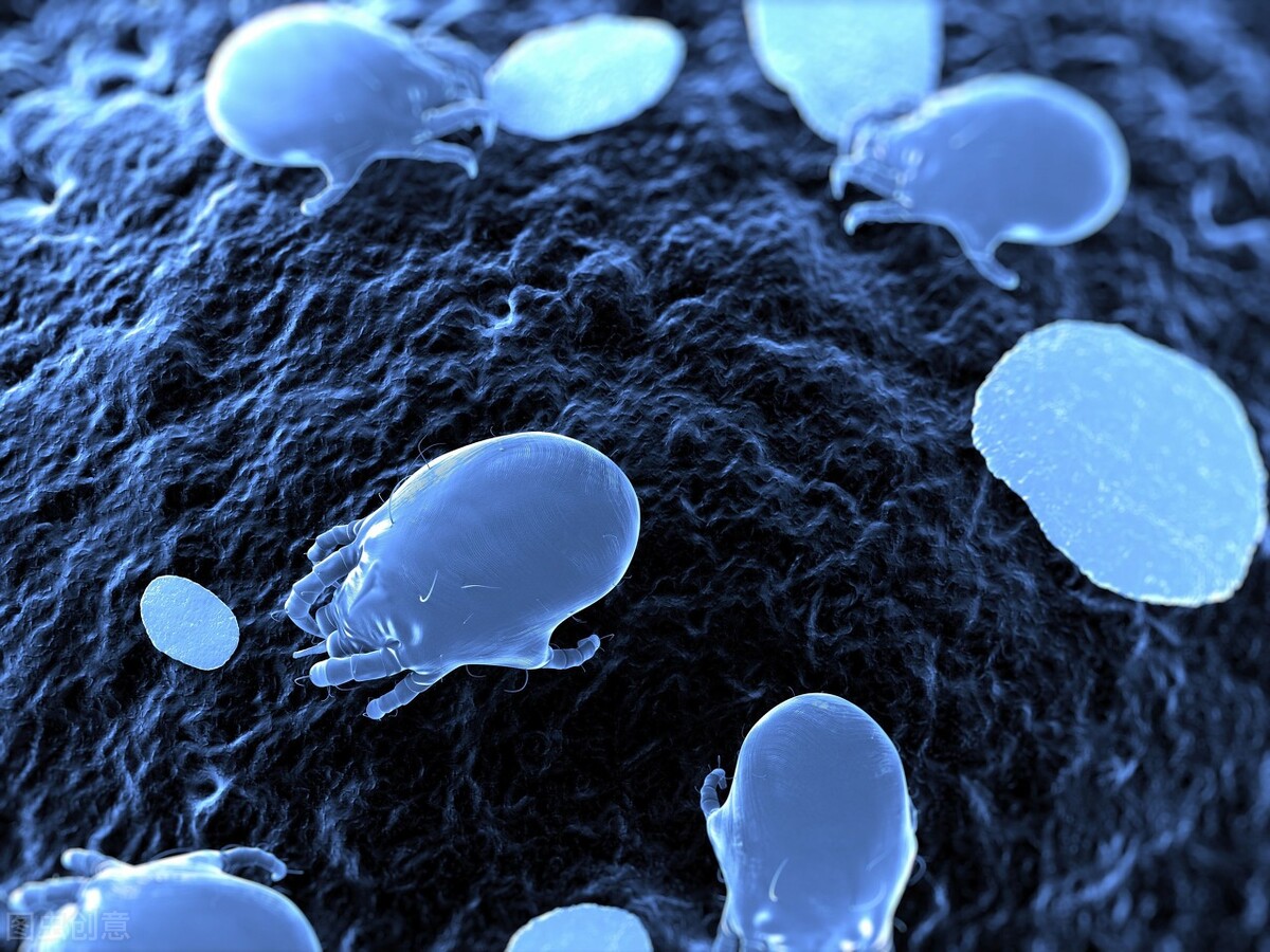 哮喘犯一次比一次厉害吗,由猫咪引起的过敏性哮喘