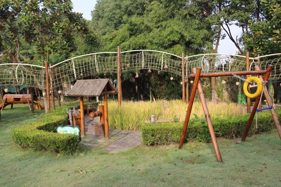 【秋色】一起逛青浦的校园,在书香中邂逅最美的秋