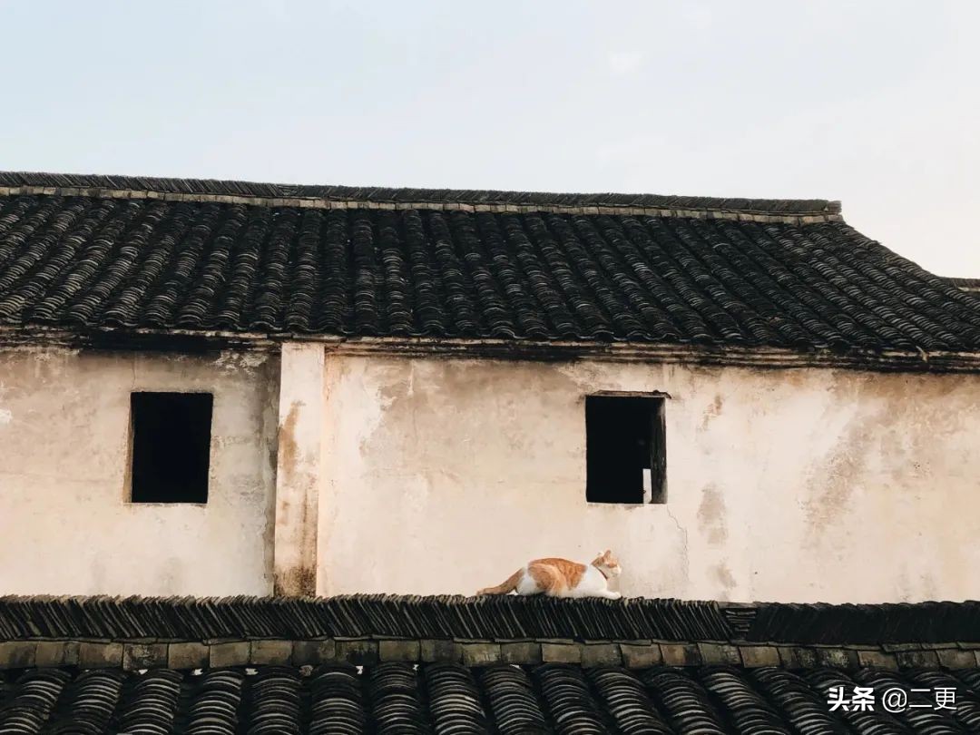 相识27天闪婚，这对逃离大城市的小夫妻，实现“面包爱情”双丰收