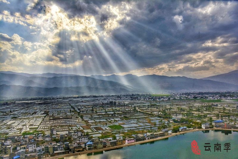 程海银鱼最新视频,舌尖上的鄱阳湖银鱼