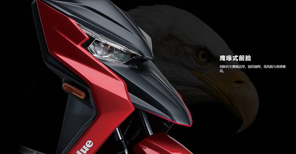 有鸟嘴的踏板,豪爵afr125踏板