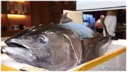 苏州星光耀低价出售,苏州姑苏星光耀广场优惠