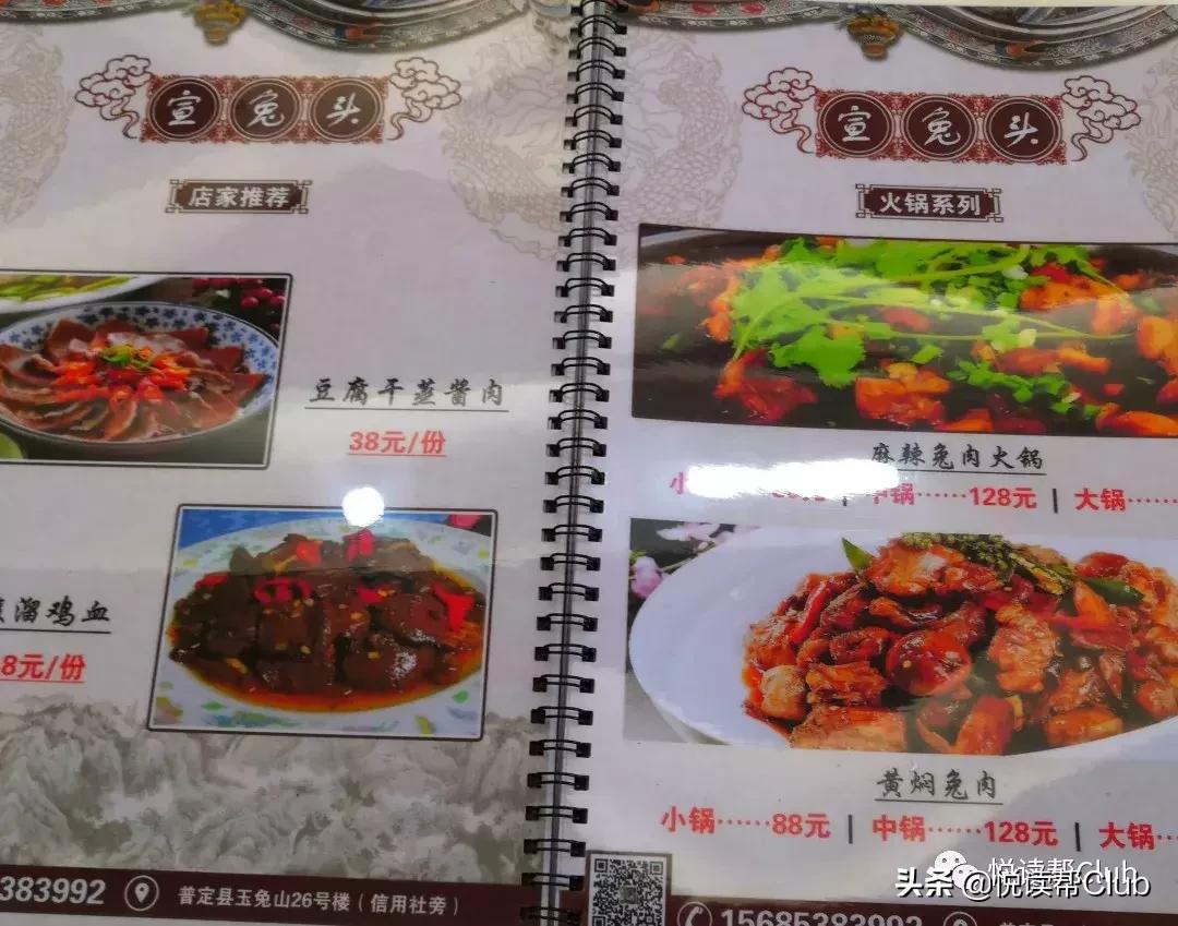 连成都人都赞不绝口的兔头空降安顺！这些兔兔还是安顺人自家养的