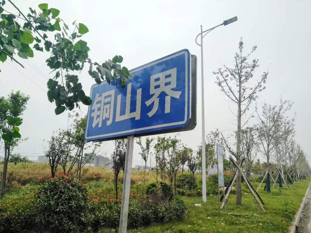 理性分析未来的市场,理性分析房源