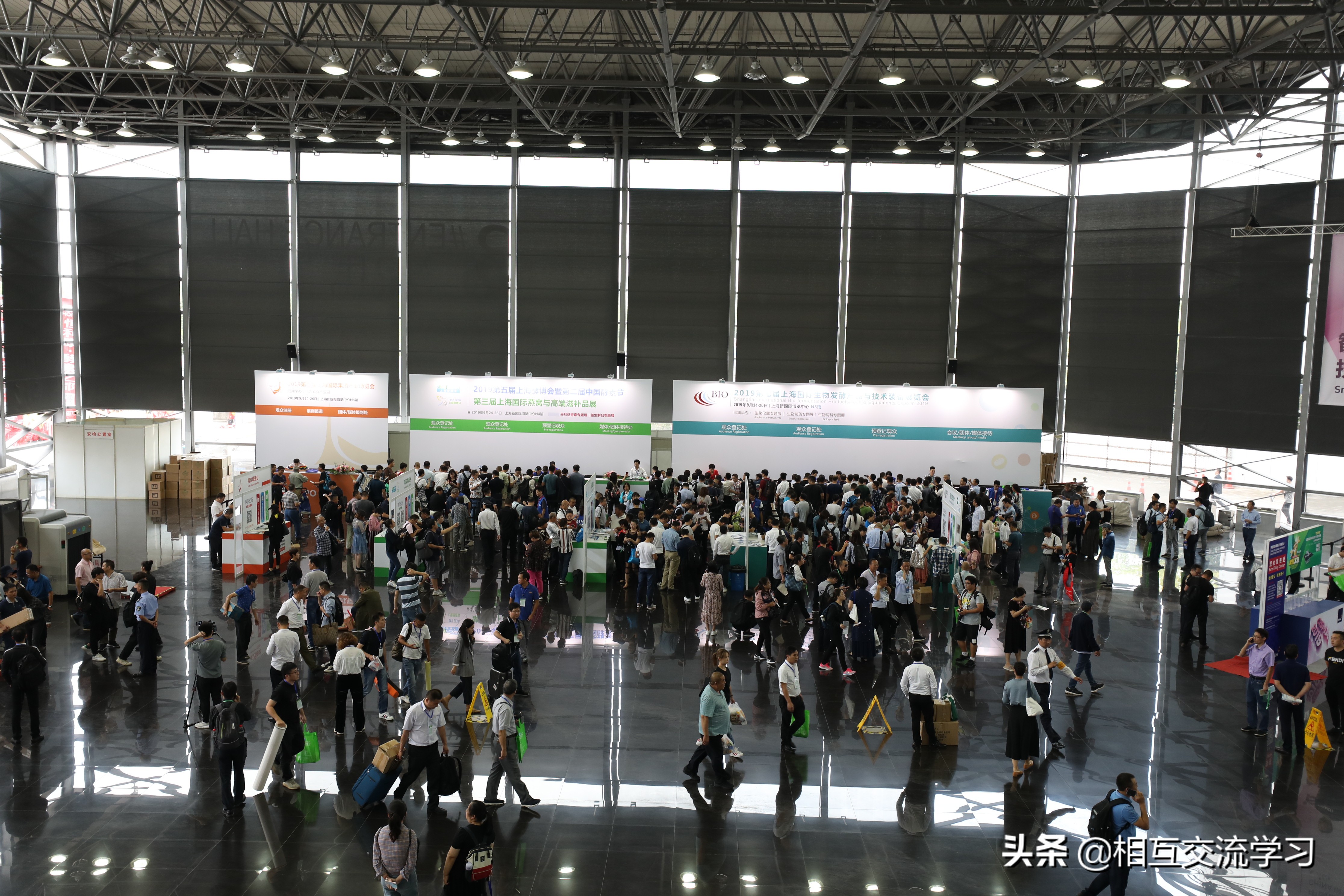 2019燕窝博览会,2024年燕窝高端滋补品展览会