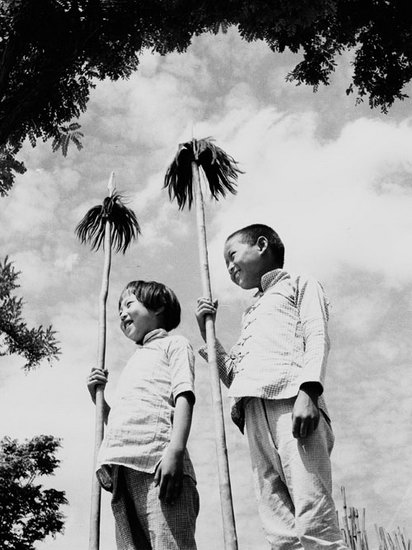 南溪拾贝「17两颗门牙都断了」