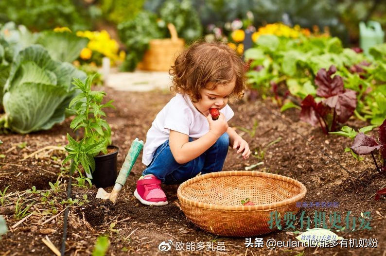 11有机月｜我要有机更有爱，和欧能多一起开启有机新生活