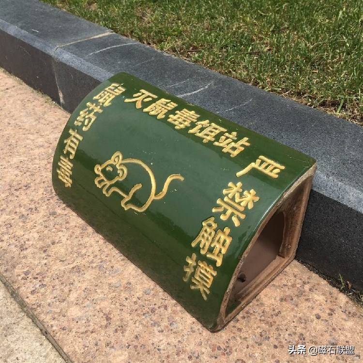 当狗狗误食有毒食物怎么办,收下这篇急救贴士,让您不再束手无策