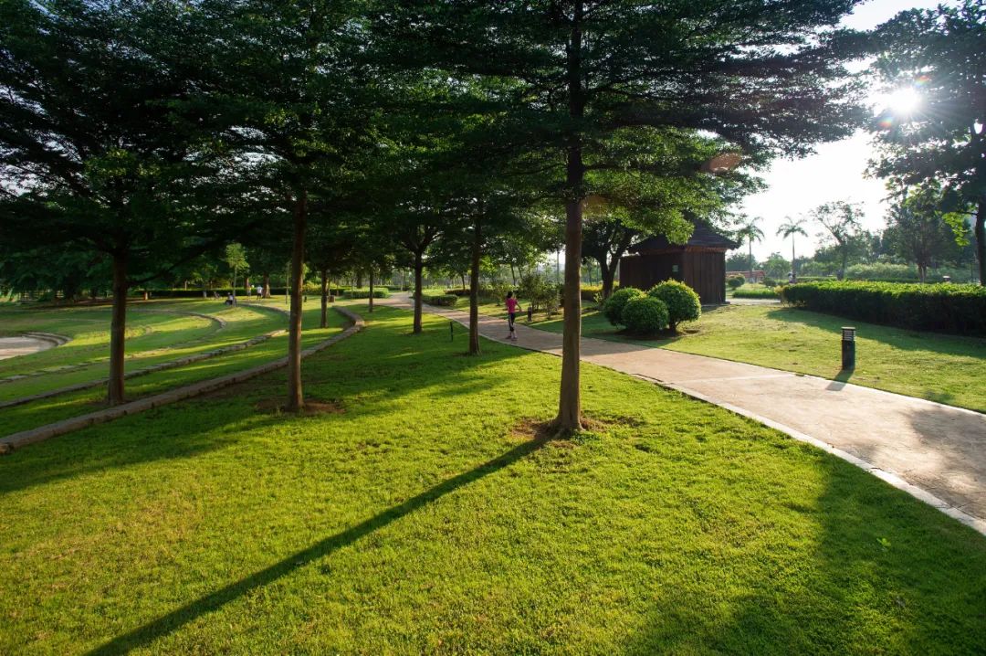 “惠阳八景”视频上线，快来感受将军故里新风采！