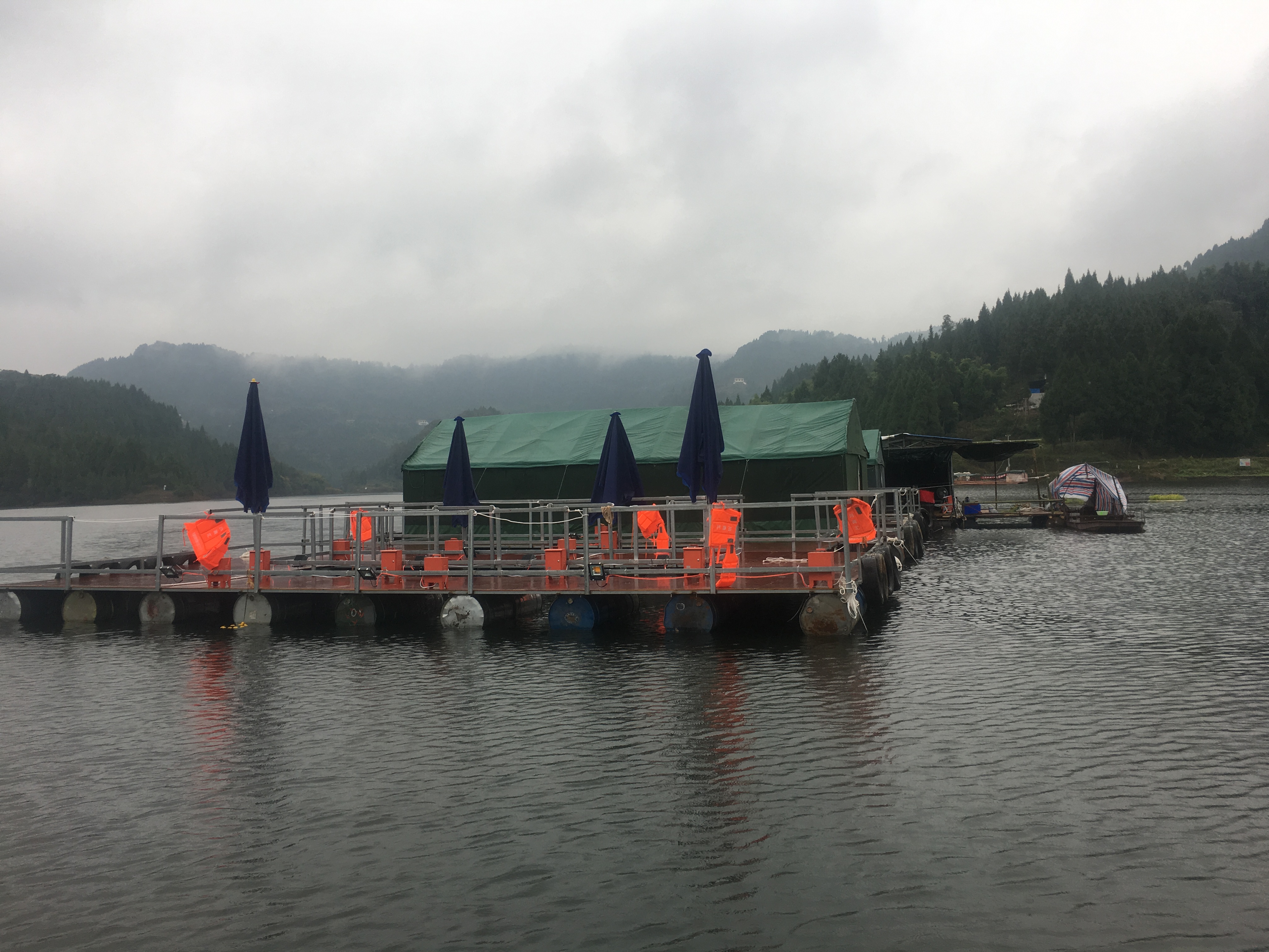 将设施渔业与乡村振兴结合,乡村振兴渔业经济数据对比图