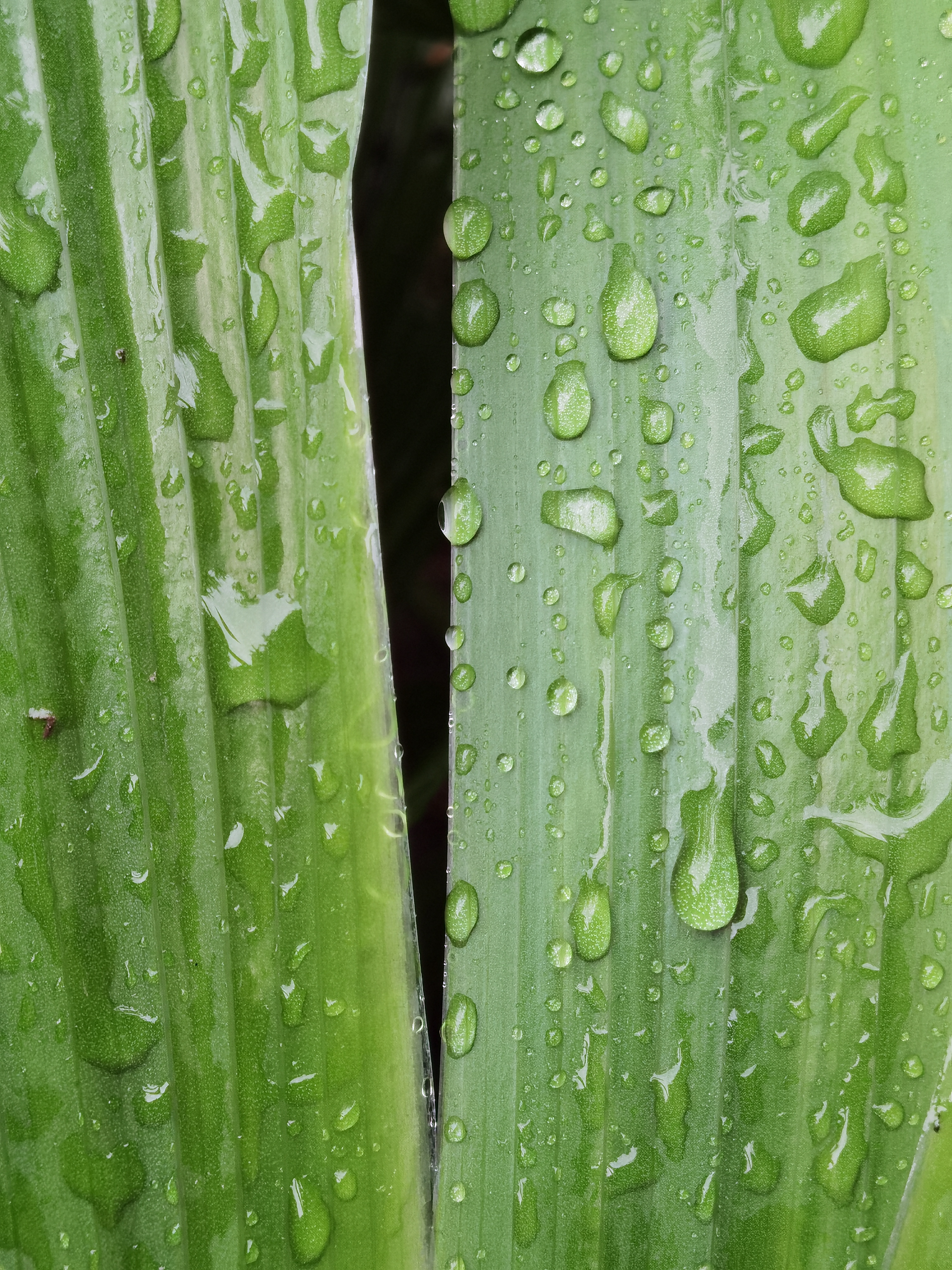 华为p50pro实测,华为p50pro变焦测试