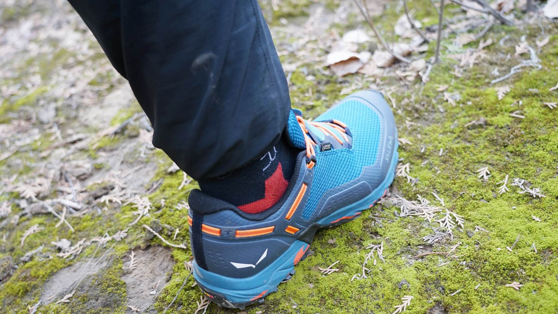 春游准备计划,制定春游小计划