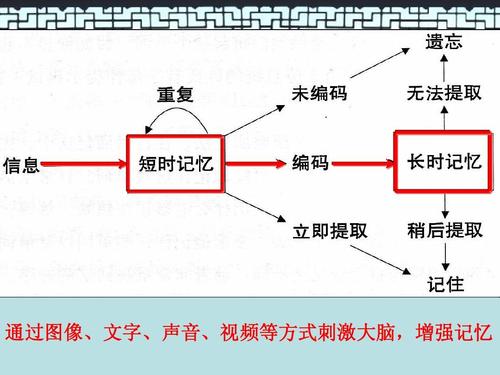想提高记忆力吃什么药,想提高学习力记忆力怎么复习