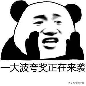 小度在家1s看电视剧怎么样,小度在家1s看电视