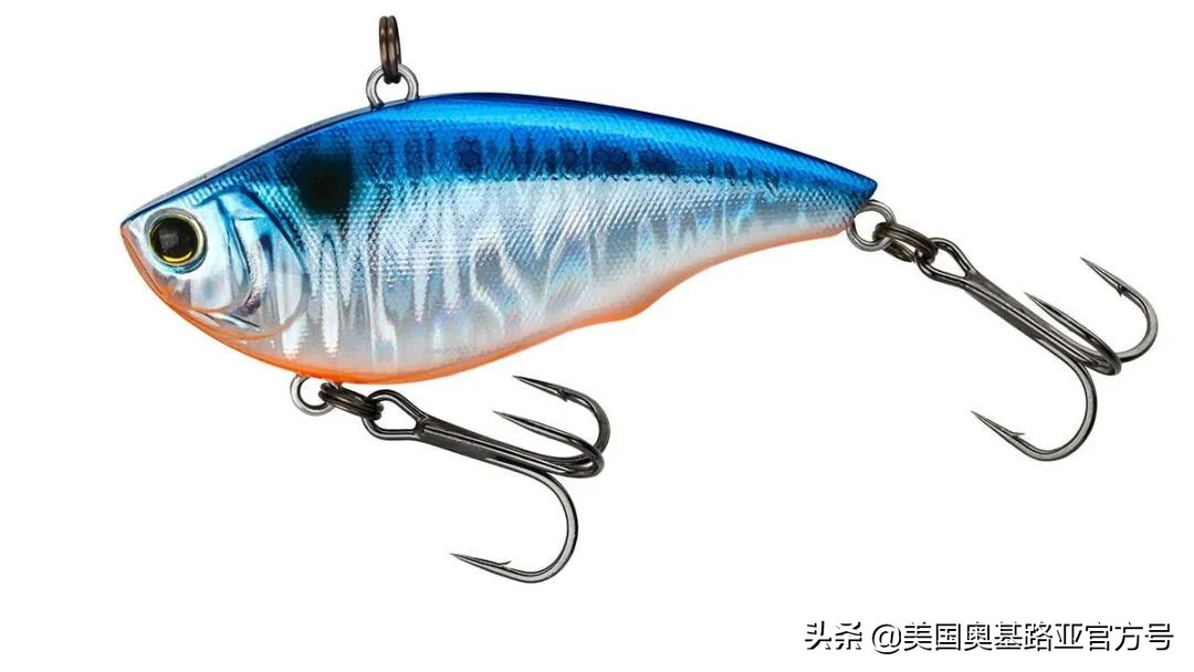 全国渔具展会2021时间表图片,2023国际渔具展会大全一览表